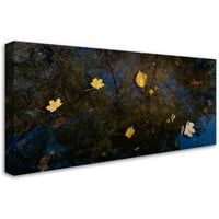 Védjegy Képzőművészet Őszi levelek úszó: vászon művészet, Kurt Shaffer