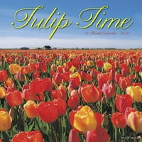 Willow Creek Press Tulip Time Wall naptár