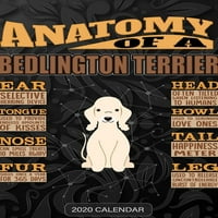 A Bedlington Terrier Anatómiája: Bedlington Terrier Naptár-Egyedi Ajándék A Bedlington Terrier Kutya Tulajdonosának