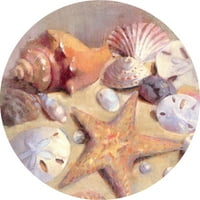 Szomjaskő alkalmai igynak alátéteket, tengeri kagylókat