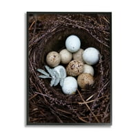 Stupell Industries Color Up Bird Eggs Nest Wildlife Természet Fénykép Fekete Keretes Art Print Wall Art, Tania Soderman tervezése
