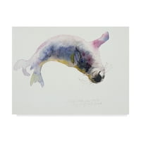 Védjegy Képzőművészet „Young Grey Seal” vászonművészet: Mark Adlington
